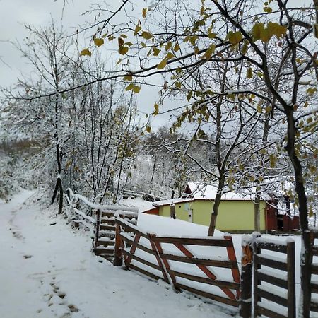Holiday Home Nanin Konak 2 브르드니크 외부 사진