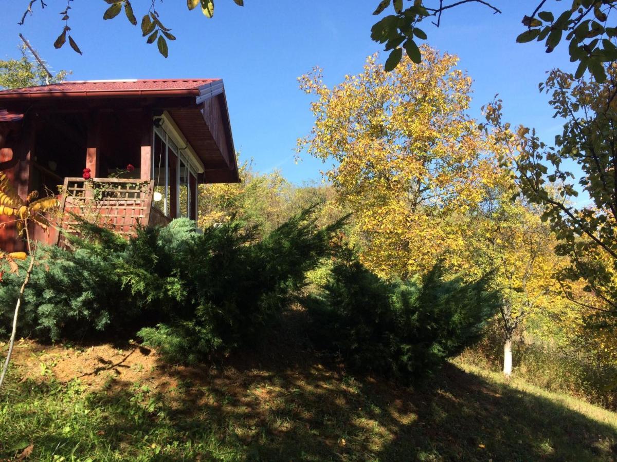 Holiday Home Nanin Konak 2 브르드니크 외부 사진